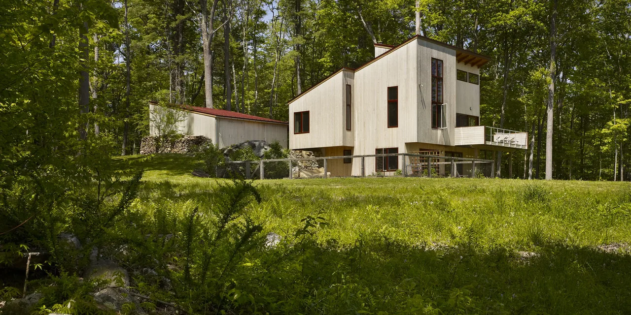 Exterior view of a modern house featuring vertical wood siding, flat roof, and cantilevered balcony surrounded by trees.