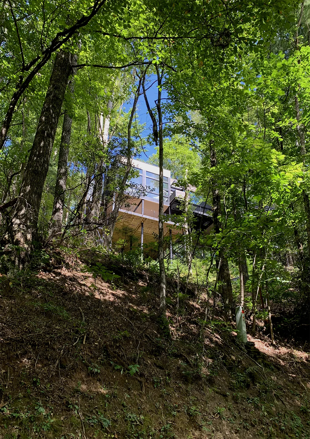 Elevated modern house set on a wooded hillside, viewed through surrounding trees.