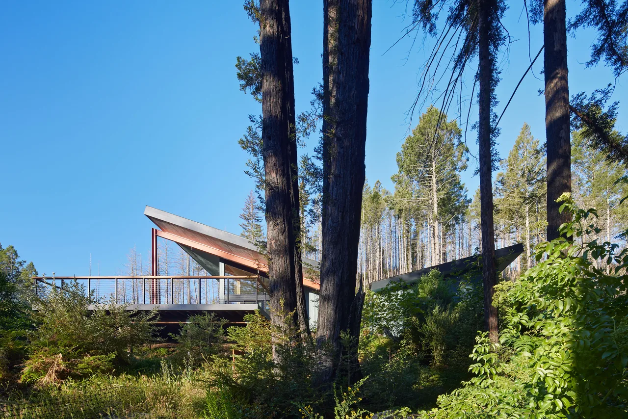 The Butterfly House features a butterfly roof and is situated among tall trees with lush greenery.