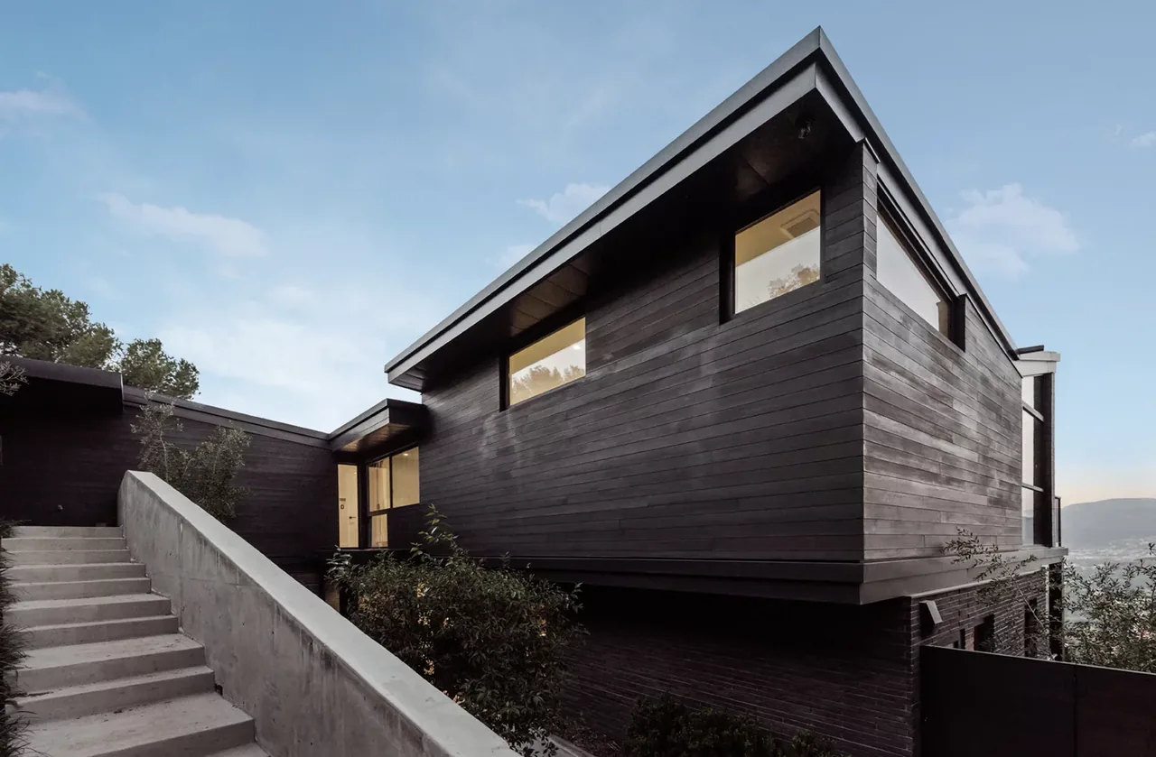 Modern house exterior with dark horizontal wood siding, flat roof, and concrete stairs leading to entrance.