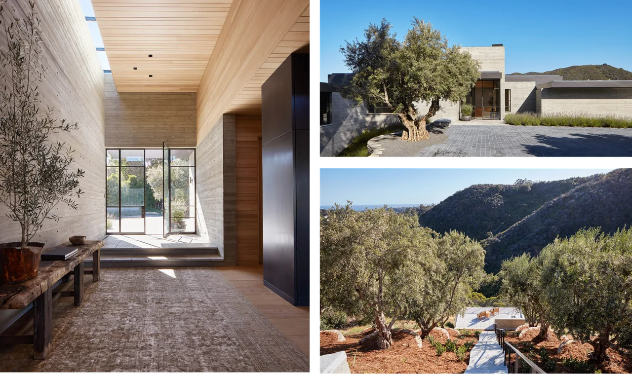 Sapire Residence features a modern entry hall with floor-to-ceiling glazing and a multi-level landscaped outdoor area with mountain views.