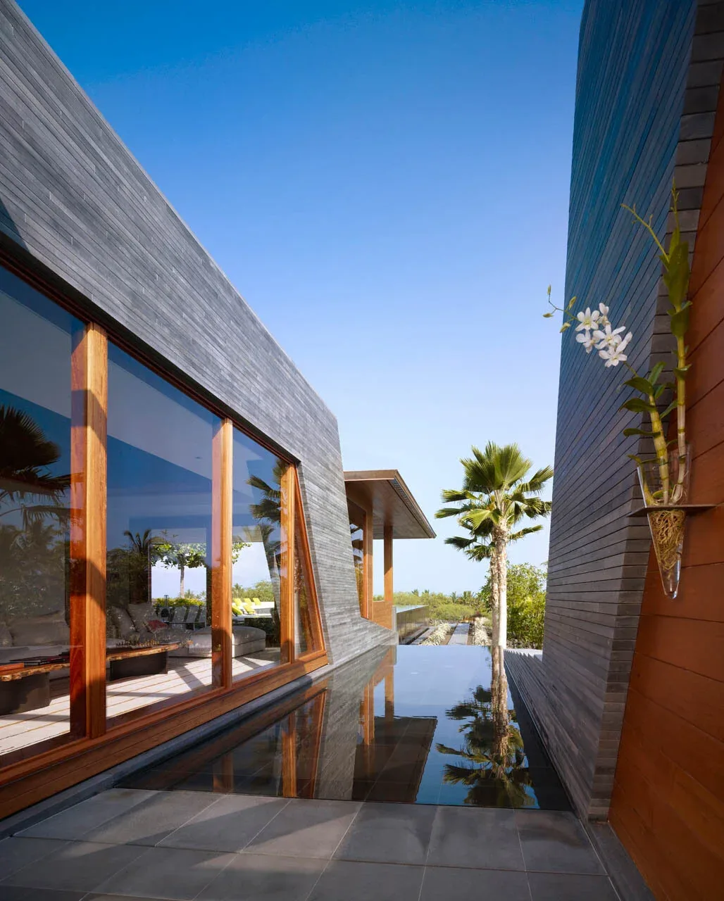 Narrow water feature between concrete-walled sections of a residence with wooden framed windows and a wall-mounted glass vase holding an orchid.
