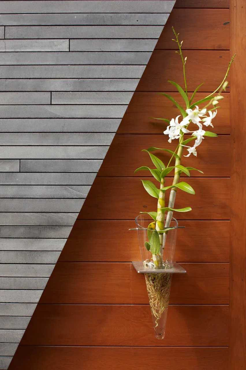 Glass vase holding a rooted orchid mounted on a wall with wood paneling and concrete tiles.