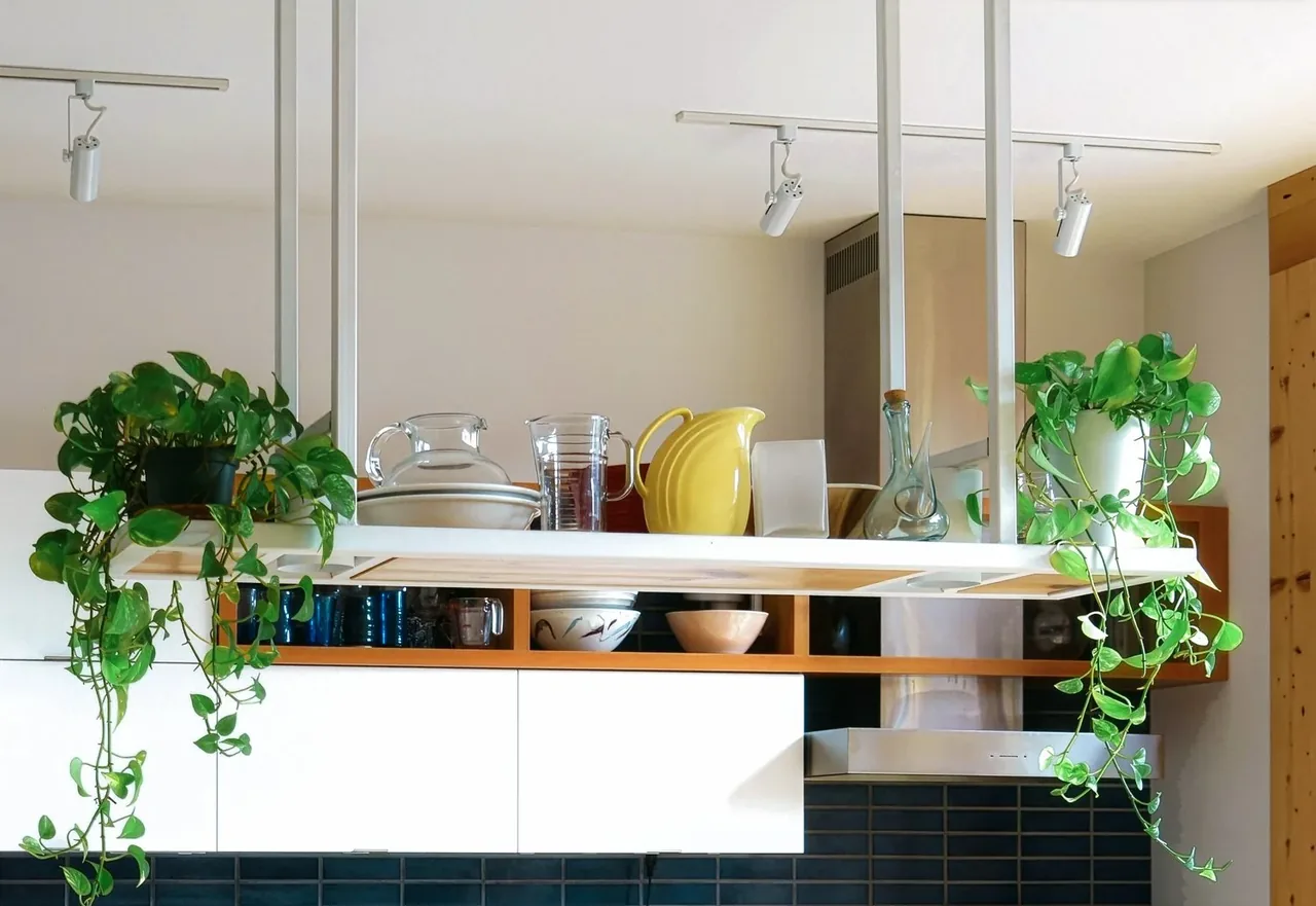 A modern kitchen features hanging plants and a shelf holding pitchers and bowls above the counter.