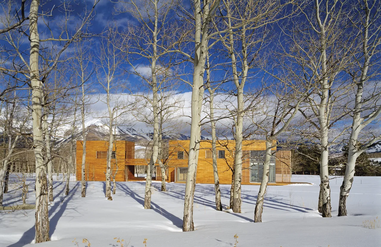Exterior front view of a wooden box-shaped house in winter with bare trees and mountains behind.