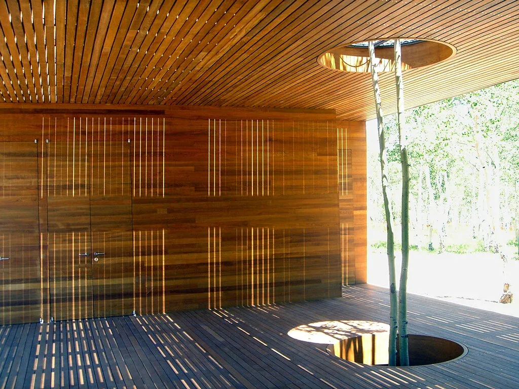 A sunlit interior space with wood paneling and circular ceiling and floor openings accommodating growing trees.