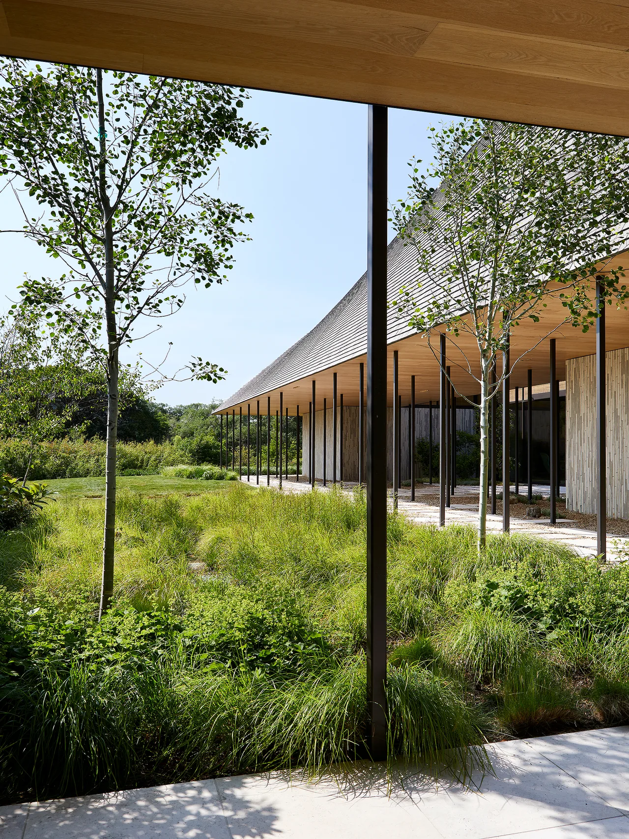 Covered exterior patio of a building with thin columns and surrounding green landscaping.