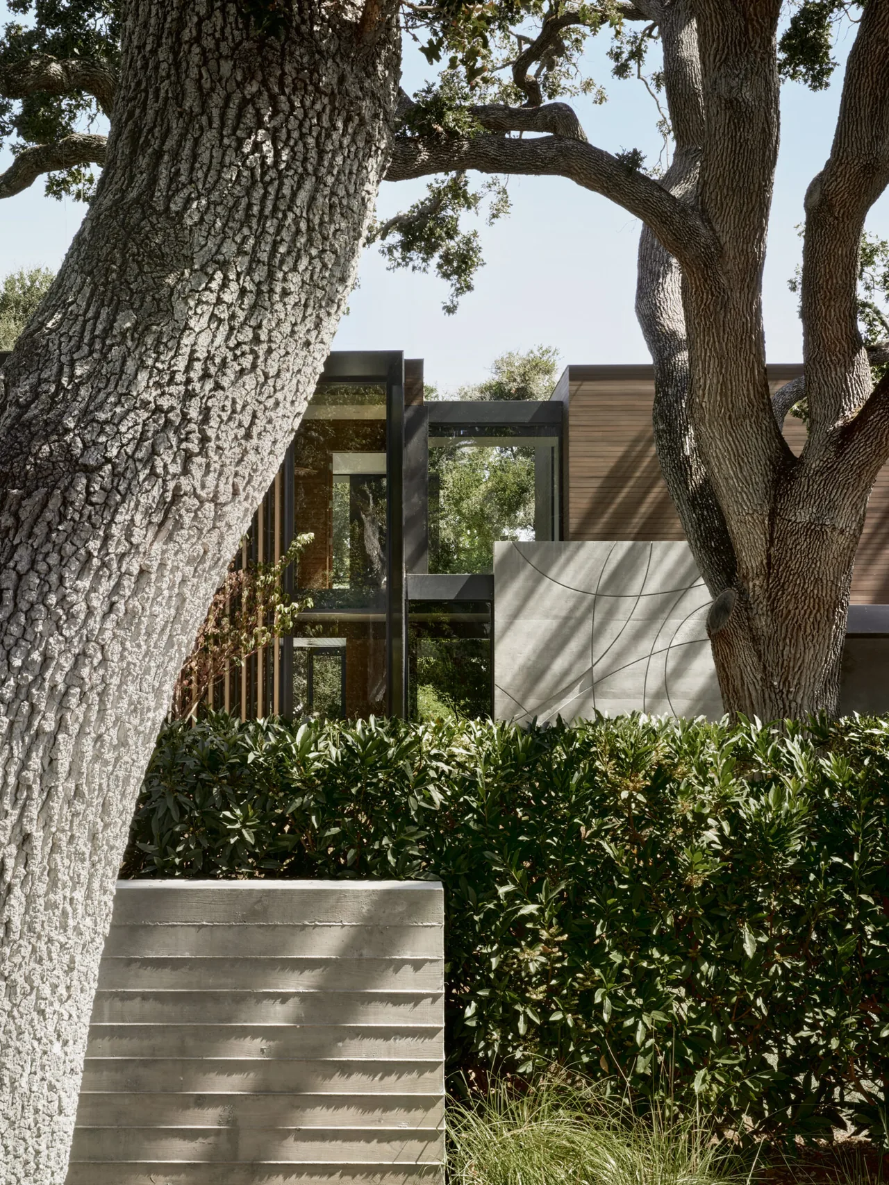 Modern residence exterior with wood siding, large glass windows, and concrete walls, partially framed by mature trees and landscaping.