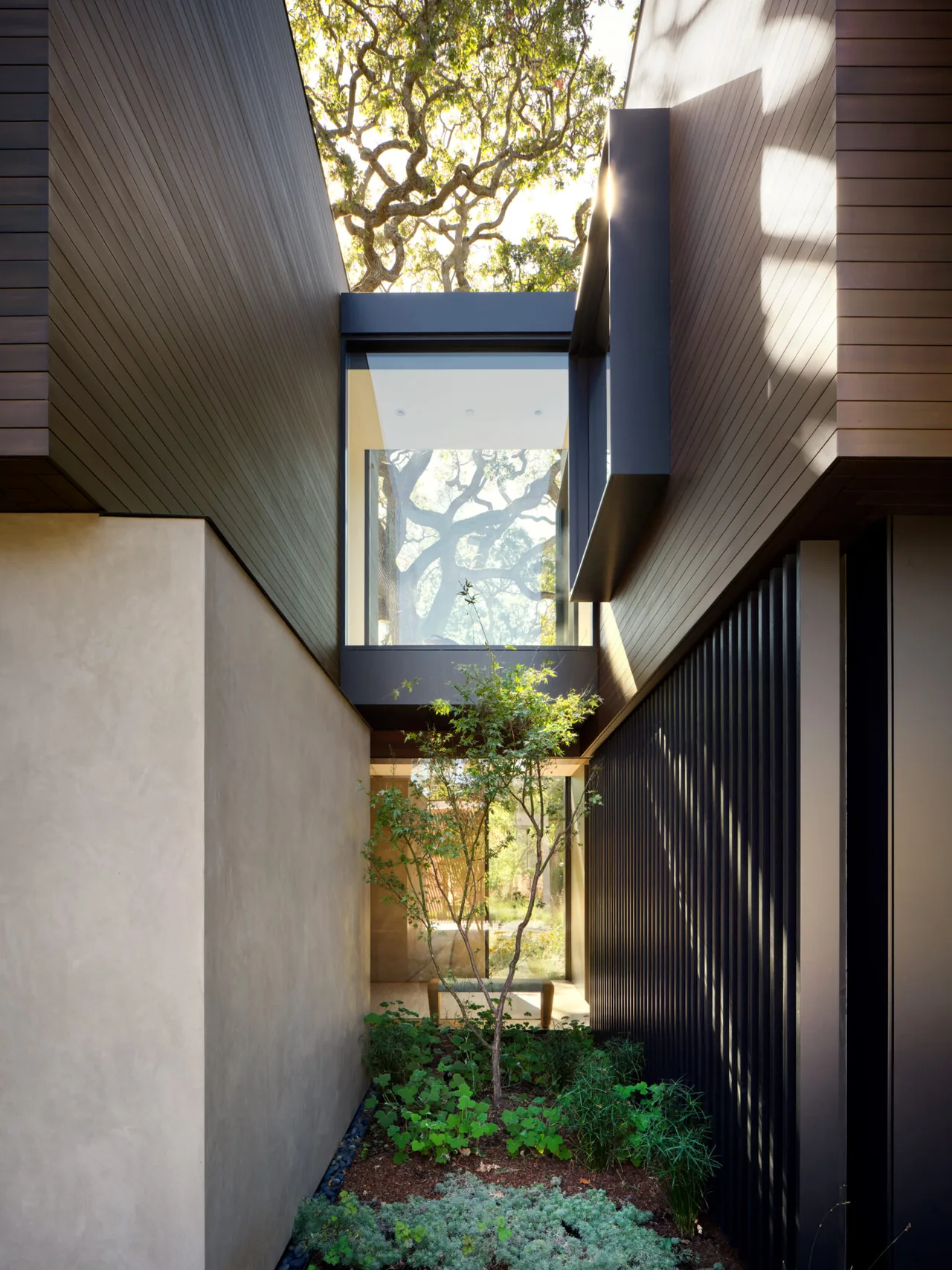 Narrow courtyard with central garden bed between stucco and dark clad walls, featuring large window reflecting tree branches.