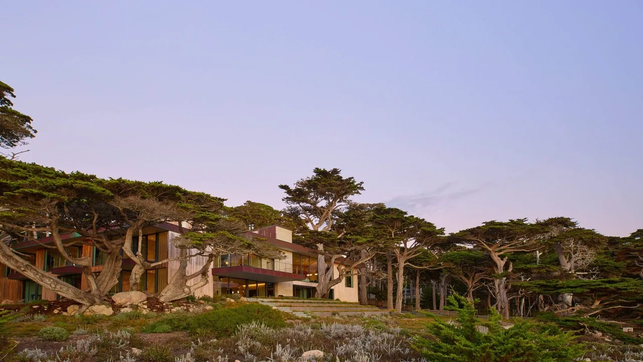 Dogleg Residence by Lundberg Design sits among windswept trees overlooking natural rocky landscape.