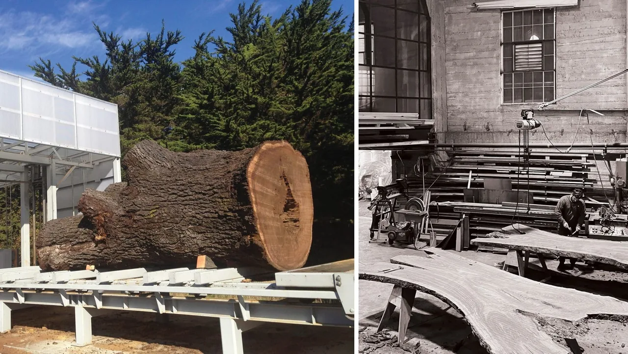 On the left, a large tree trunk lies on a metal platform outside; on the right, a workshop shows curved wood slabs and a man sanding or shaping them.