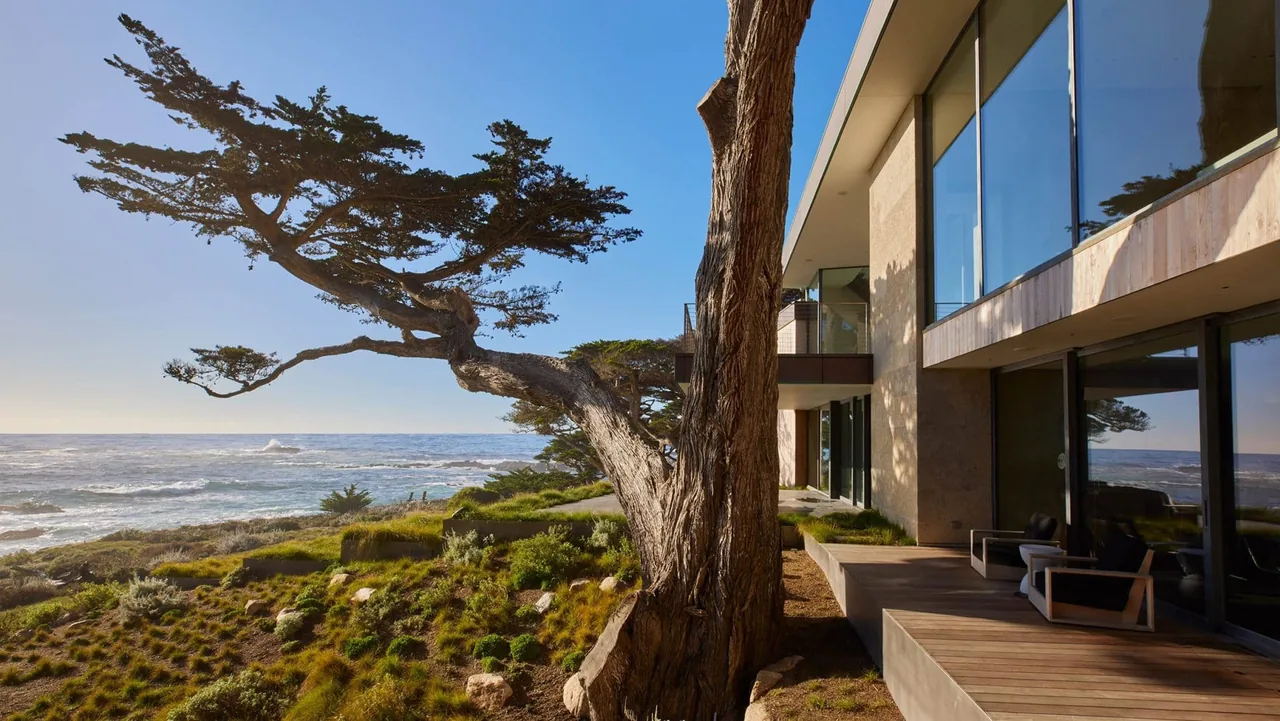 Dogleg Residence showing coastal view, textured stone exterior, and large tree trunks beside a wooden deck.
