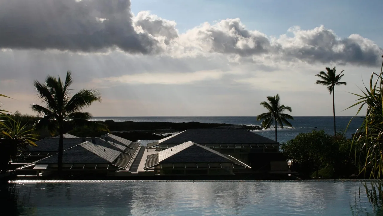 Low-pitched roofs with skylights of a coastal residence visible behind an infinity pool and palm trees.