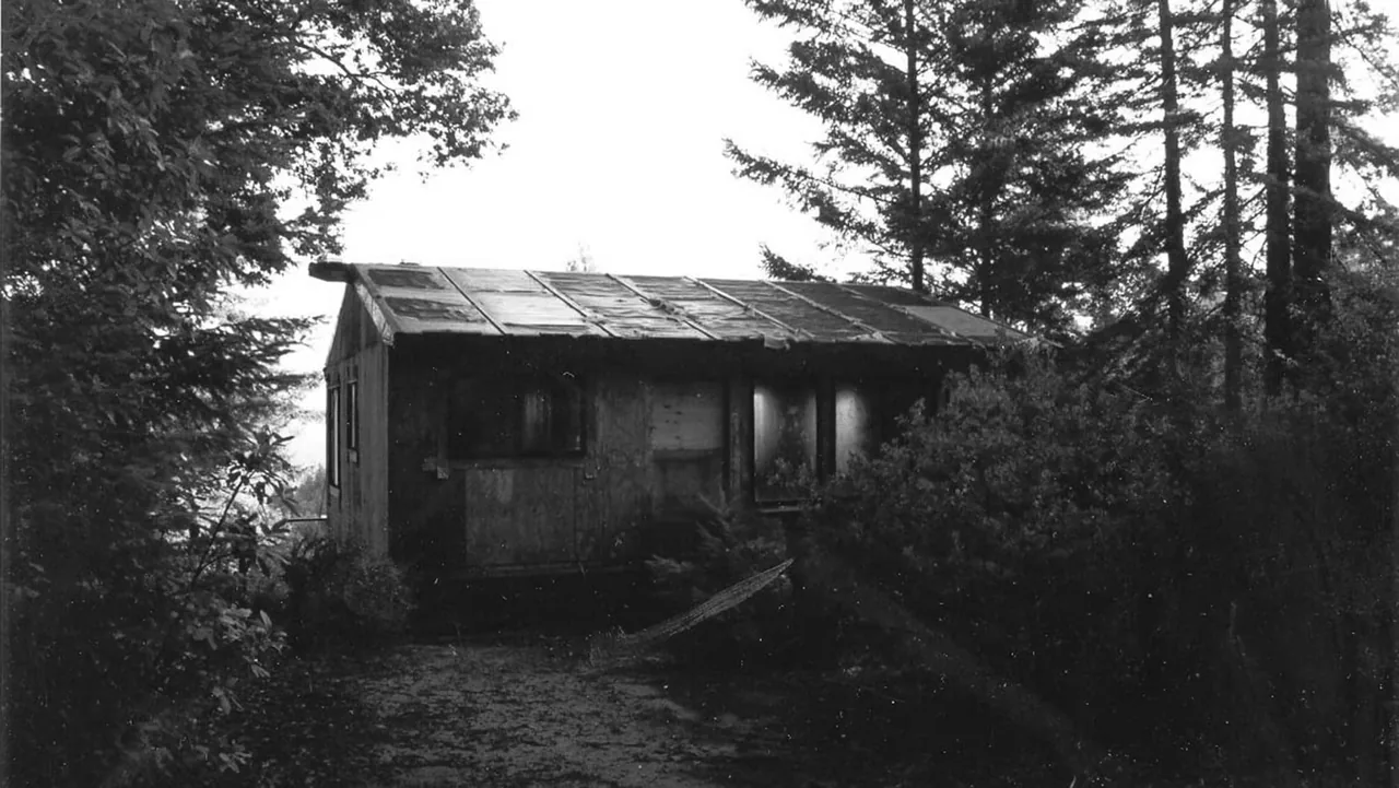 The Lundberg/Breuer Cabin is a modest structure set among trees, featuring a simple angled roof and multiple windows.