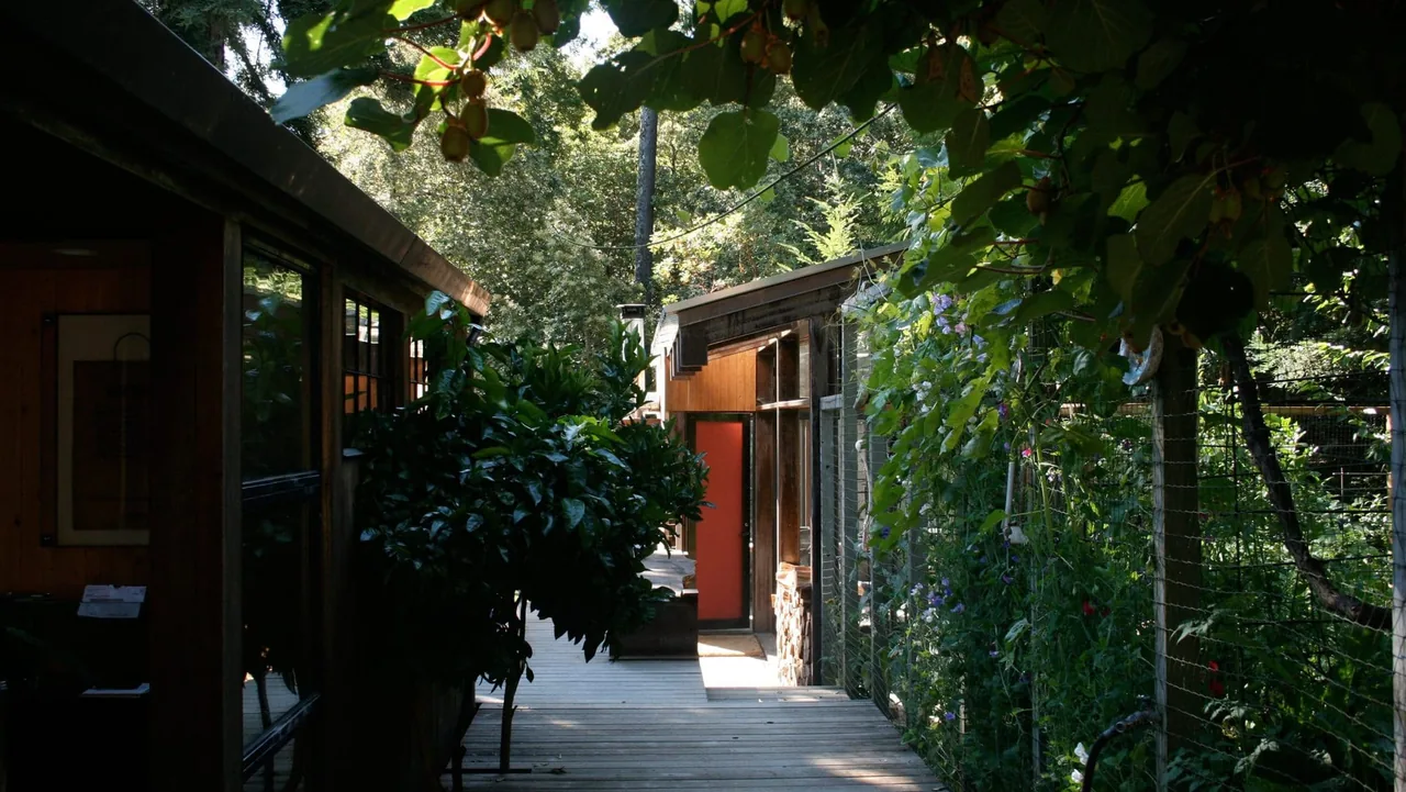 Wood deck walkway between two cabin structures surrounded by dense greenery and trees.