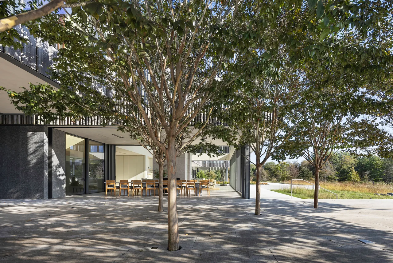 Patio area with inset trees adjacent to a modern building featuring floor-to-ceiling glazing.