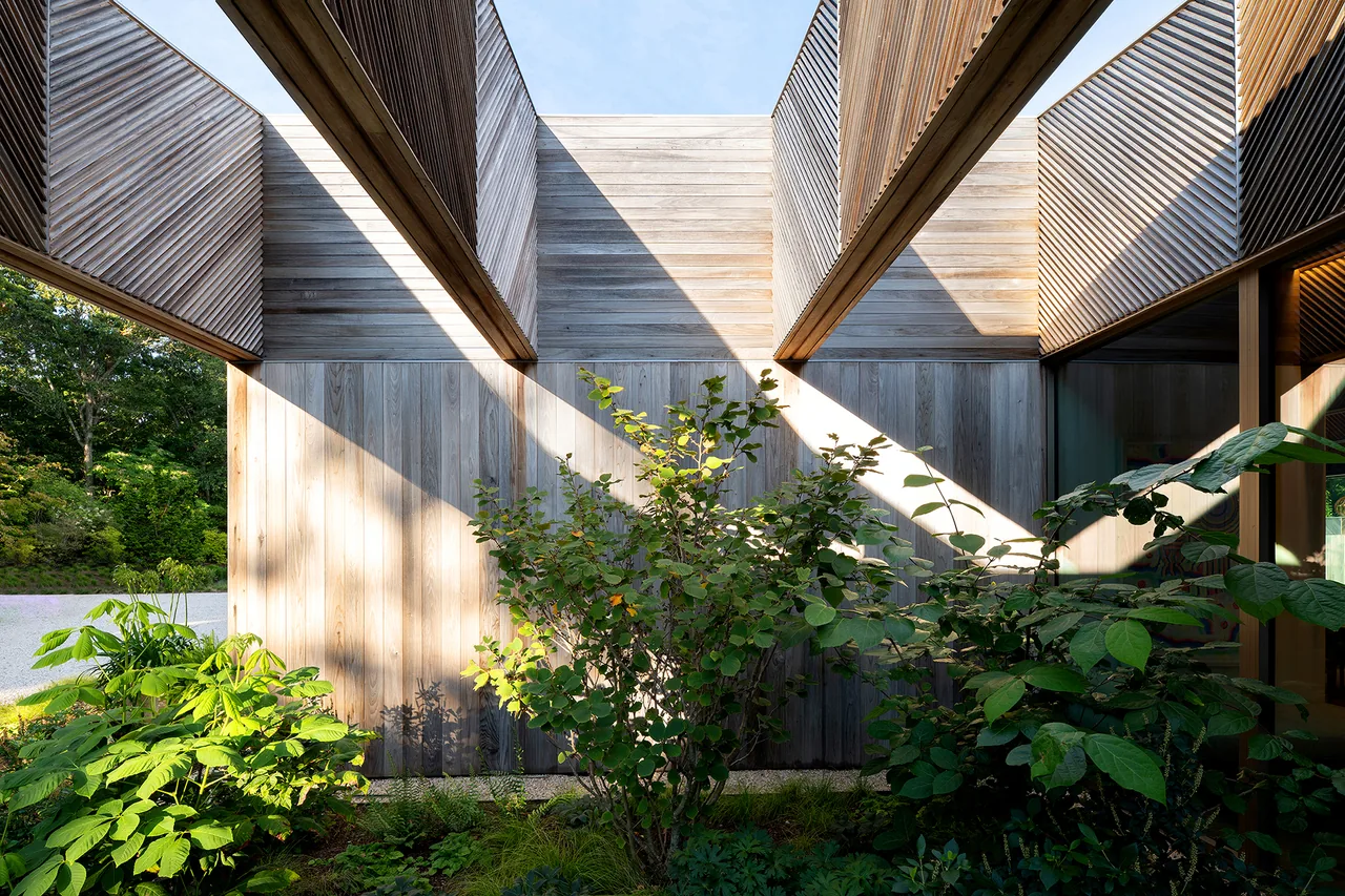 Wood-clad courtyard with landscaped plants and sunlight filtering through architectural overhangs.
