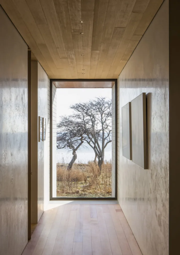 A narrow hallway with a wood-planked ceiling and floor leads to a large window with a view of barren trees and dry plants.