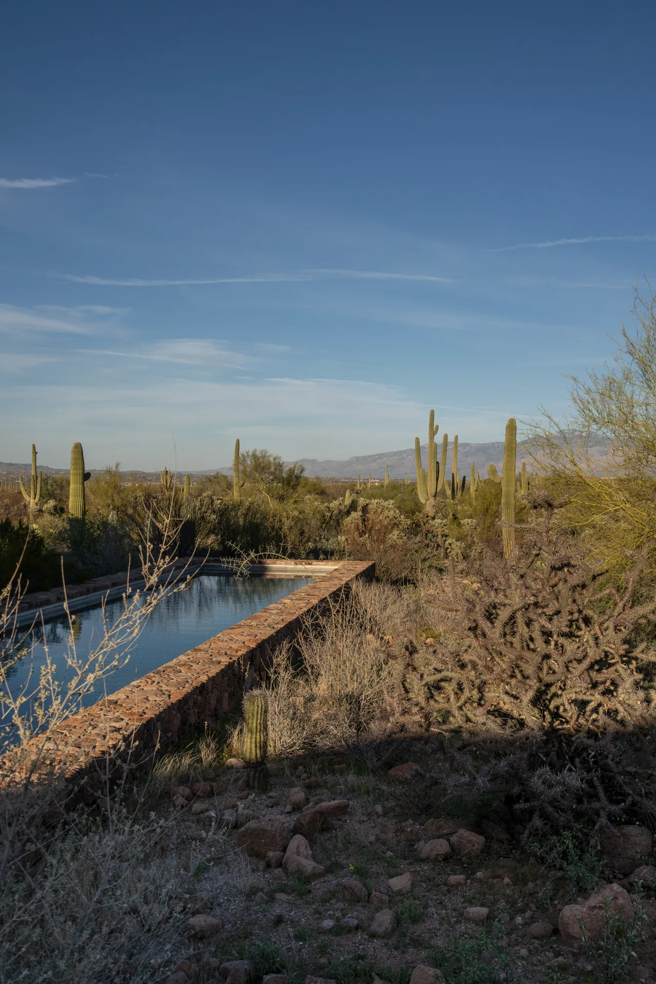 Reflective pool with rust-colored stone wall integrates into desert landscape with saguaro cacti and mountain views.