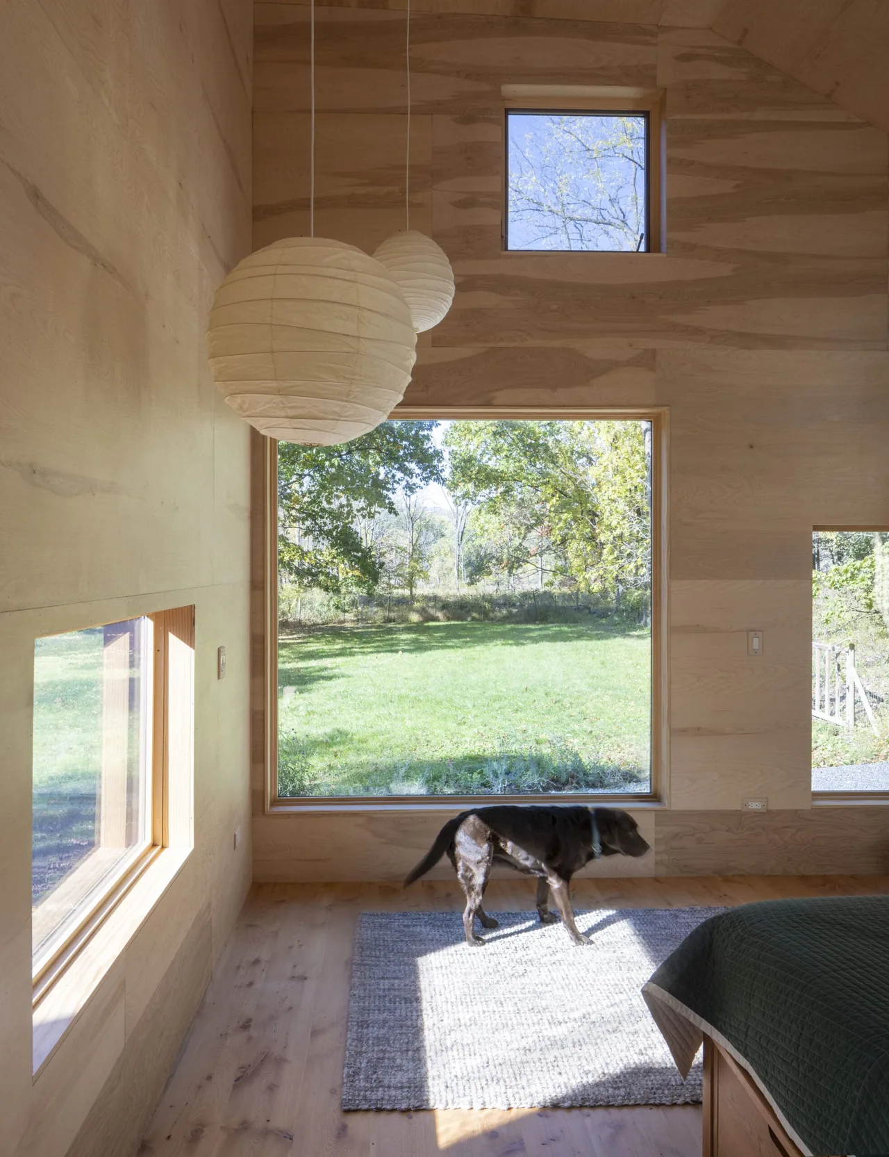 Bedroom with large square windows and light wood-paneled walls showcasing an outdoor view with a dog on a textured rug.