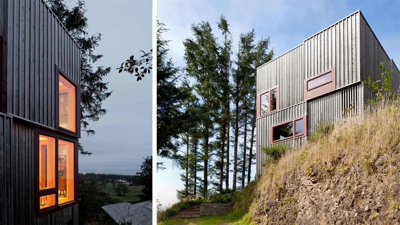 Neskowin Beach House features vertical wood siding and modern rectangular form on a hillside with nearby tall evergreen trees.