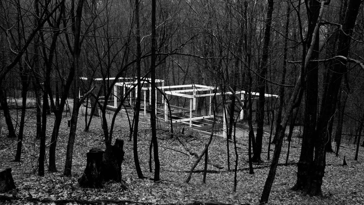Model of Dutchess County Residence Guest House showing linear rectangular forms in a forest setting.