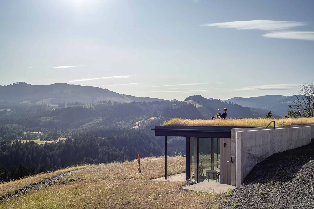 Bald Mountain Residence features a green roof with mountain views and a concrete structure partially built into the hillside.