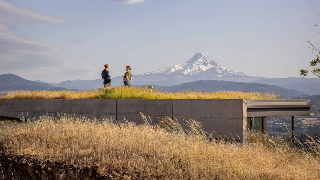 Bald Mountain Residence features a green roof with expansive mountain views.