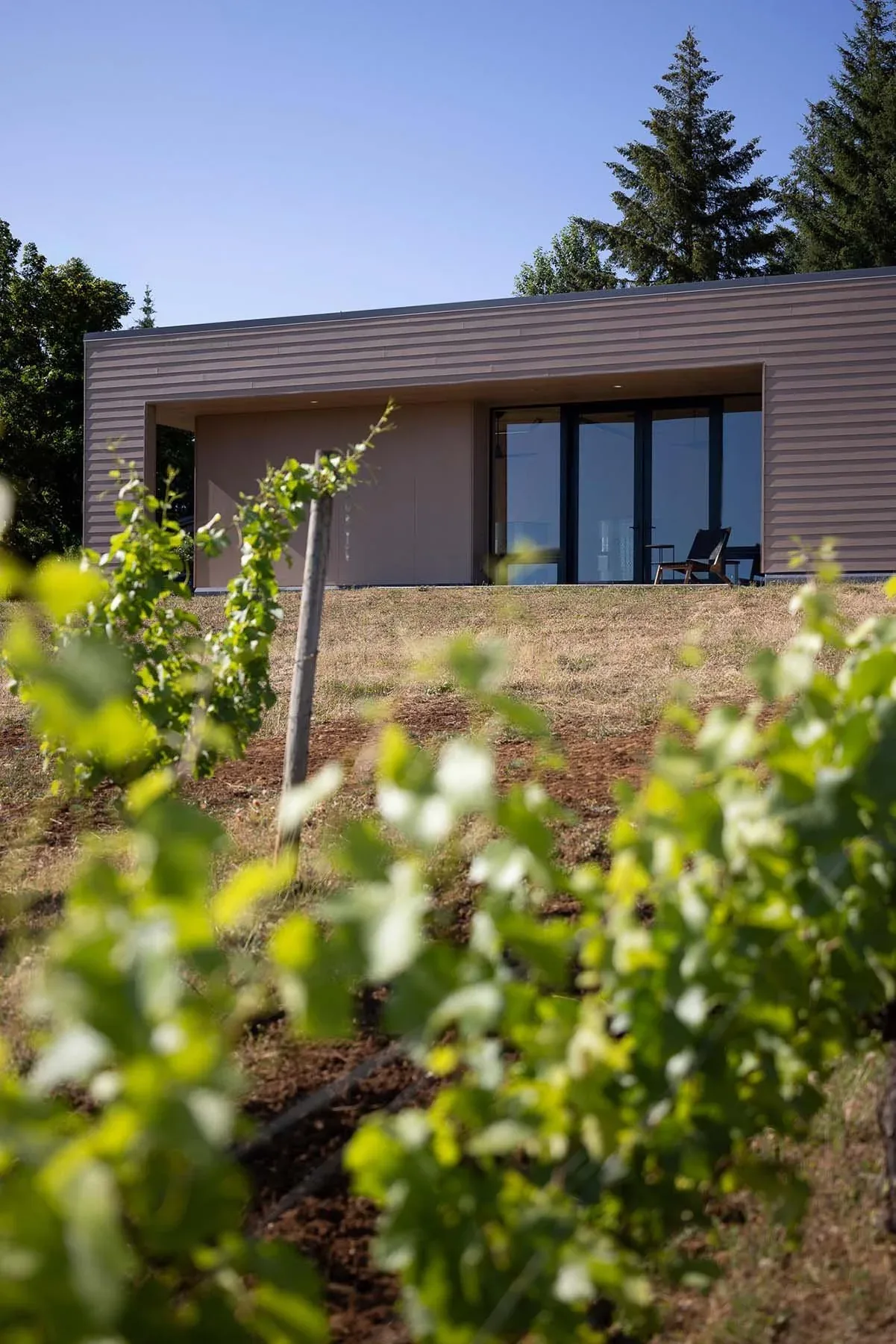 The Lone Feather Residence features horizontal wood siding and large black-framed sliding glass doors opening to the outside.