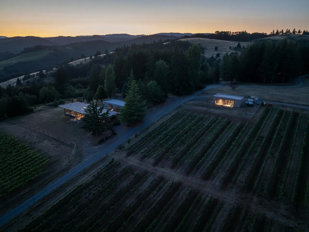 Lone Feather Residence showing two illuminated modern buildings set in vineyard landscape at dusk near rolling hills.