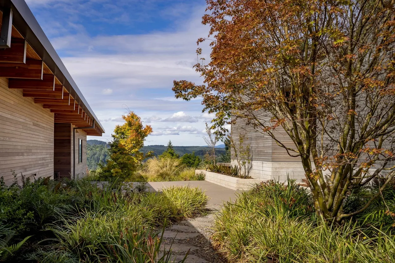 The Lone Feather Residence features a wood-sided courtyard pathway leading to a view of forested hills.
