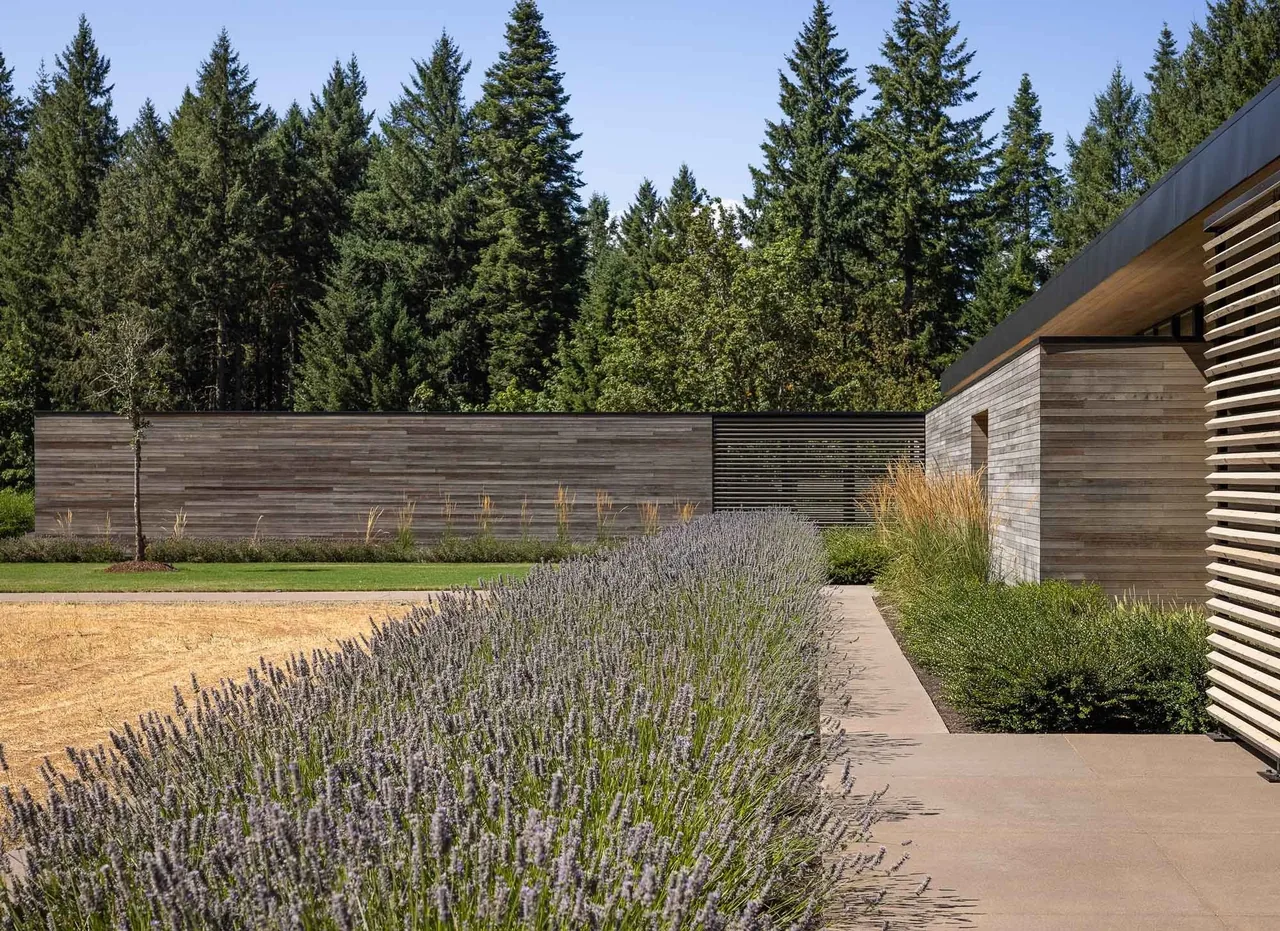 Horizontal wood siding defines the modern exterior of Evening Sky with landscaped planting including lavender and ornamental grasses.