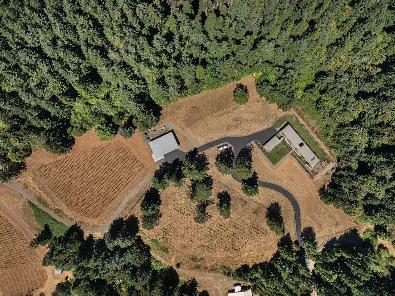 The Evening Sky project features a modern home set amidst forest and agricultural land with landscaped planting.