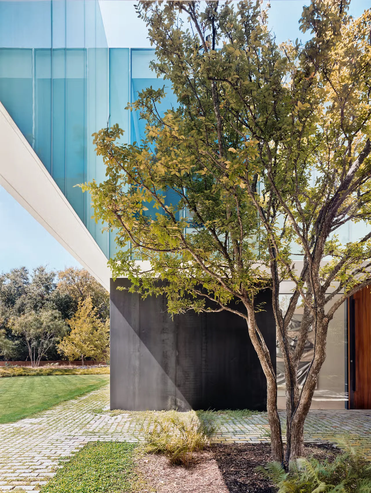 Highland Park Residence facade shows large glass windows and dark wall with landscaped garden in front.