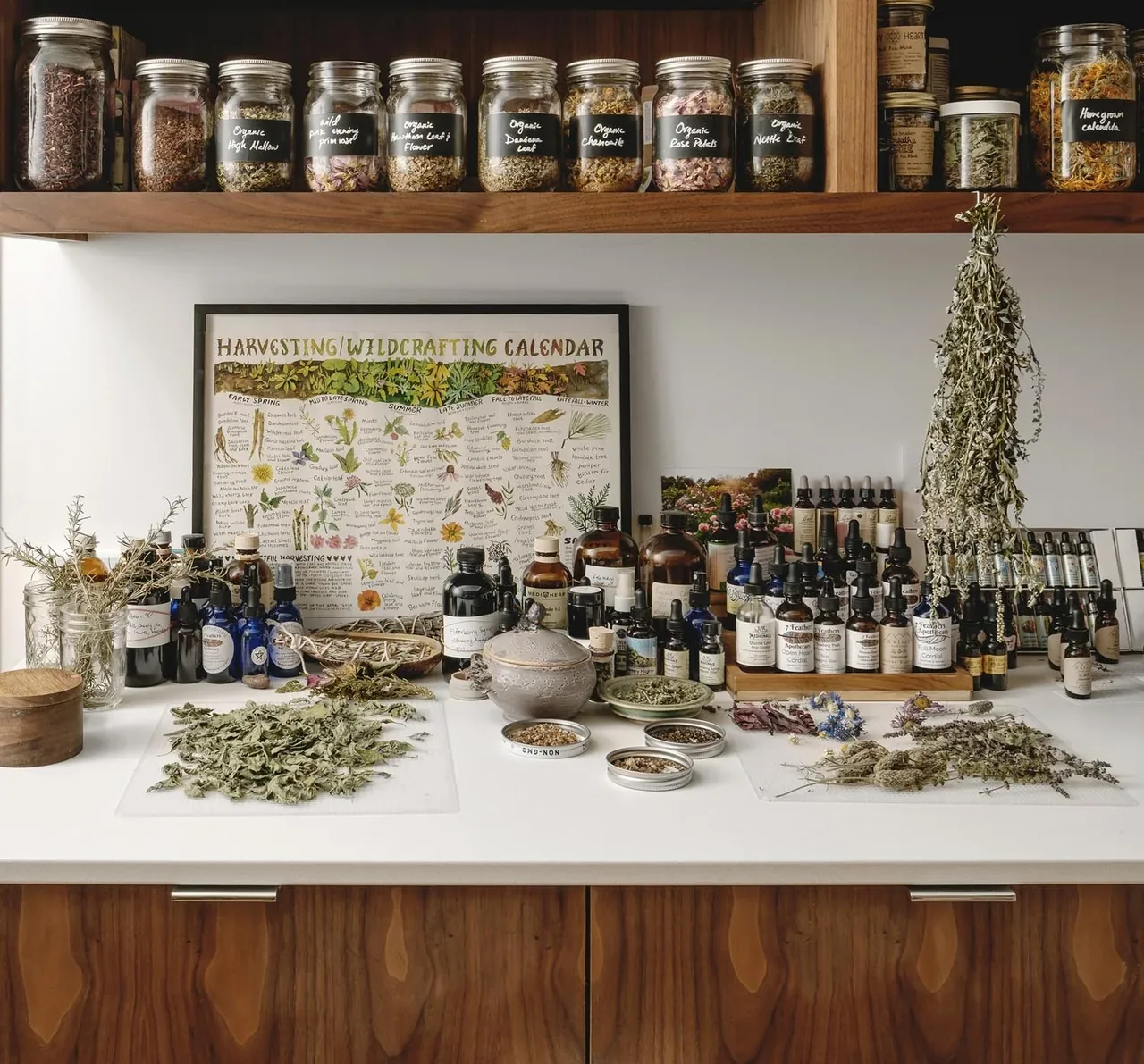 A herbal preparation workspace with labeled jars, dried herbs, and medicinal oils is displayed in the Crestvale residence by Clark | Richardson Architects.