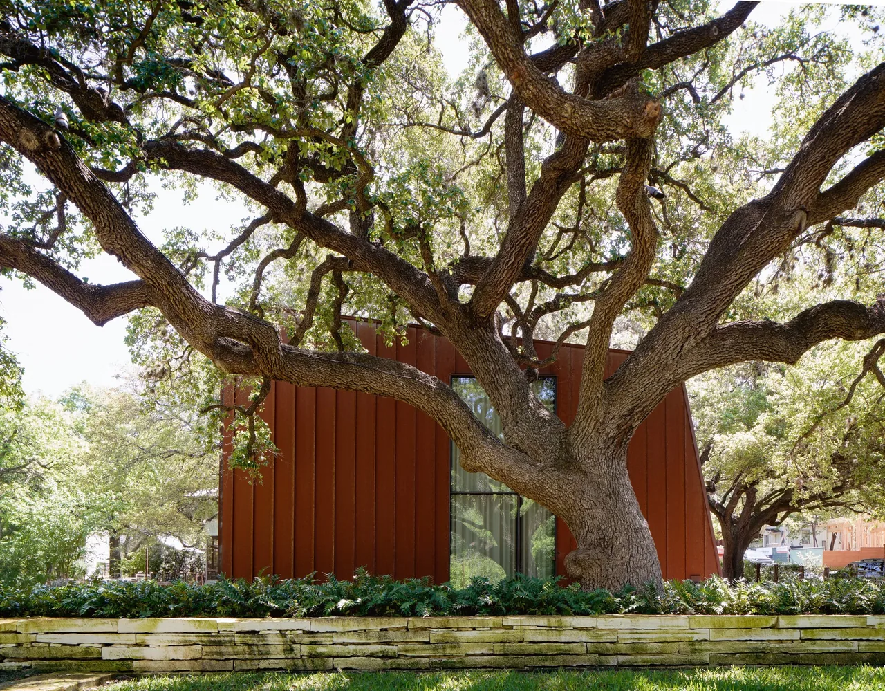 The Jewell Box project features a rust patina exterior with a large oak tree integrated into the natural setting in Austin.