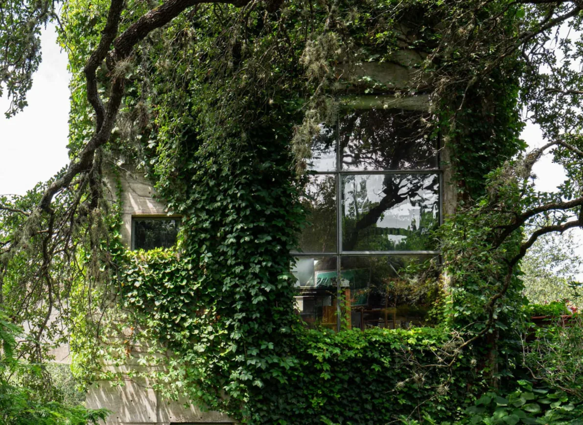 Concrete Studio Gallery features textured concrete walls heavily cloaked in ivy with rectangular windows framed by greenery.