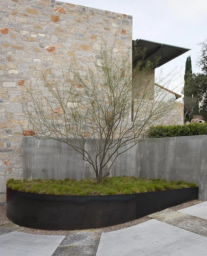 Curved black raised planter containing a small tree and ground cover in front of a limestone wall and concrete fence.