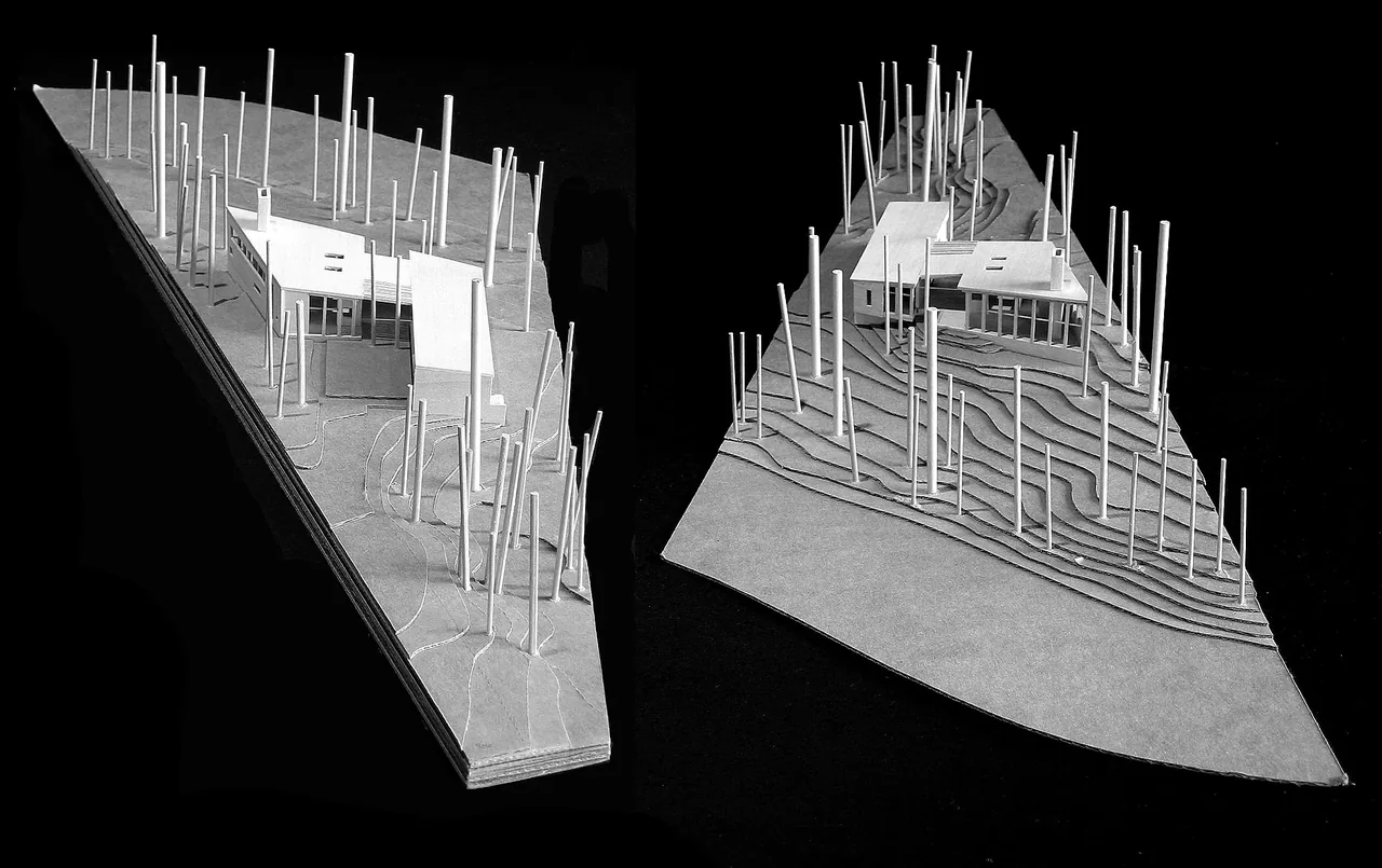Model views of the Farquar Lake Residence showing the triangular floor shape and site topography.