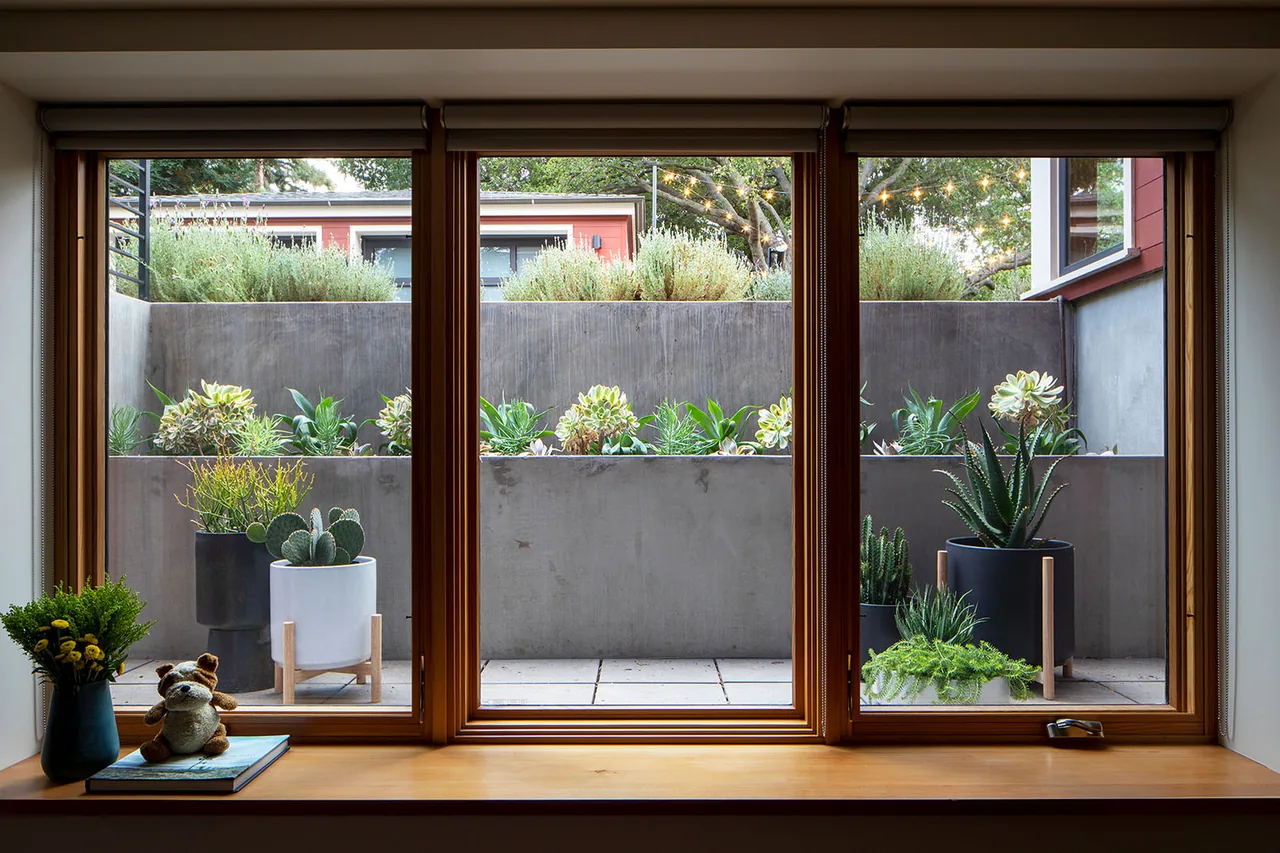 Three large wood-framed windows look out onto a concrete planter filled with succulents and other greenery.