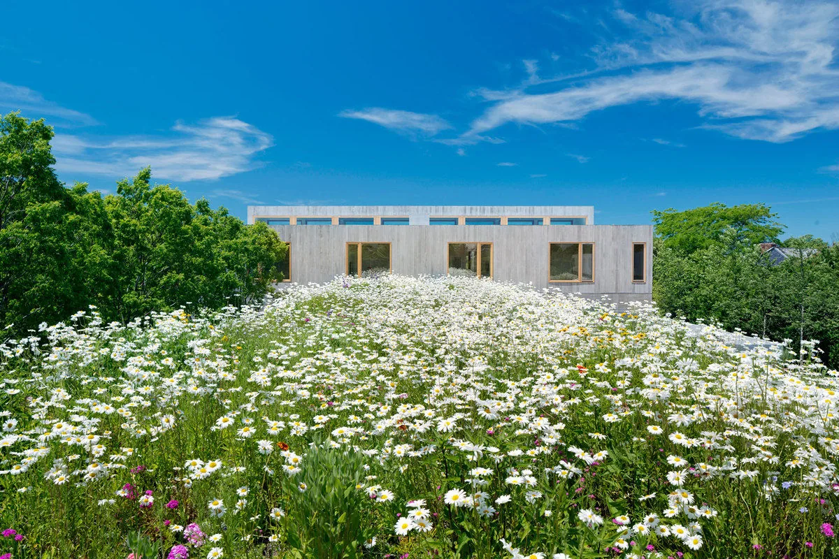 The Watermill Residence features a linear wood-paneled facade with large windows overlooking a wildflower meadow.