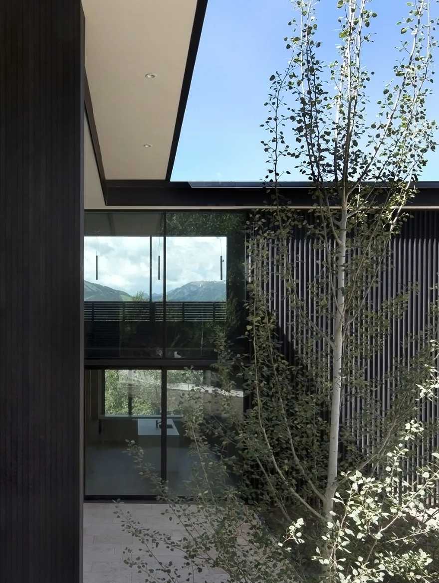 Aspen Residence shows dark vertical siding with expansive glass windows and a courtyard tree.