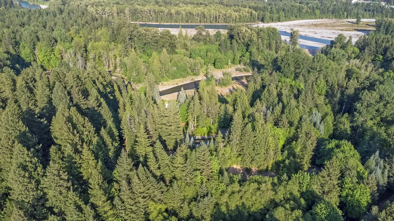 The Getaway Cabin project is located in a dense forested area near a river in Seattle.