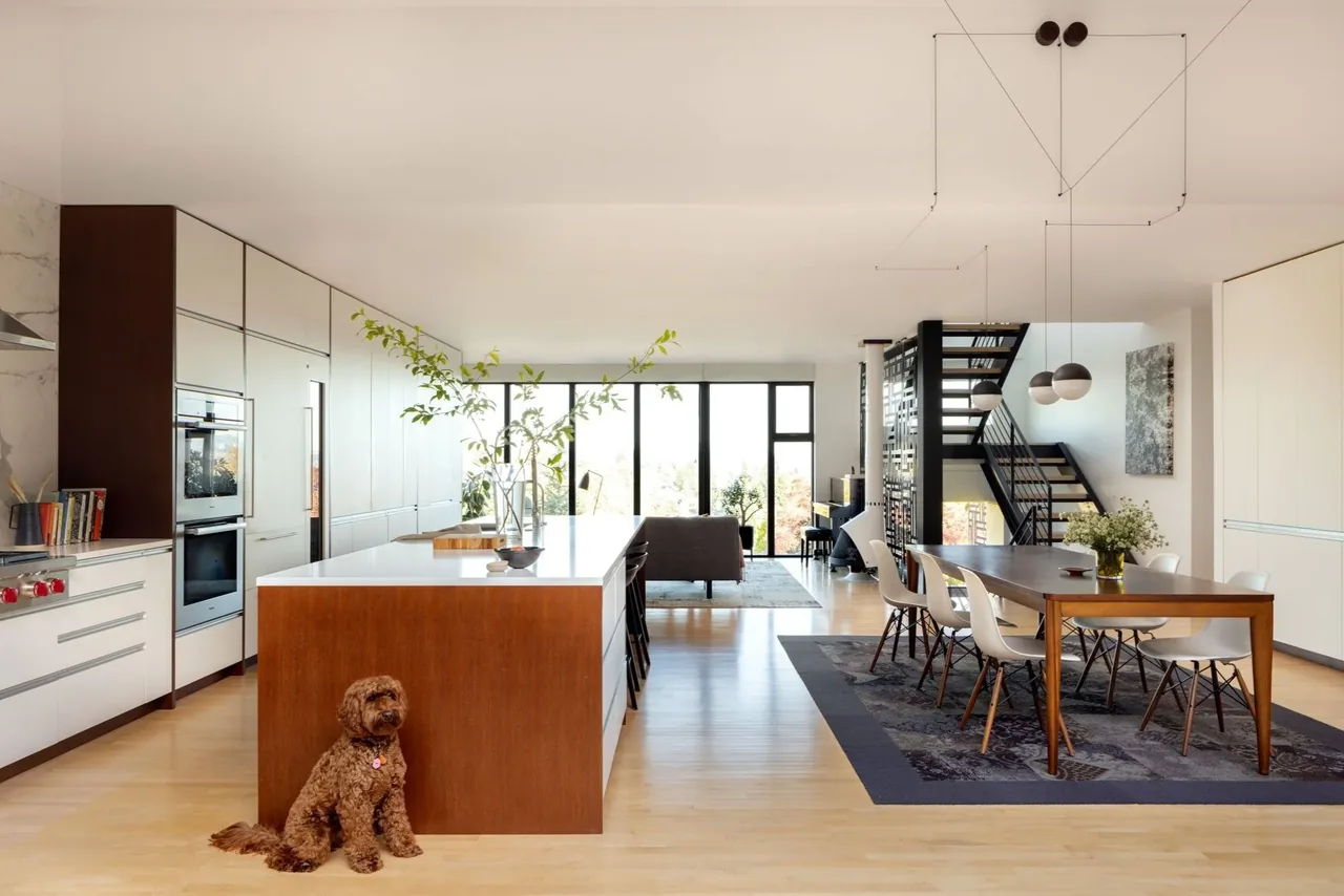 Open plan kitchen and dining area with a wooden island and black-framed windows offering natural light.