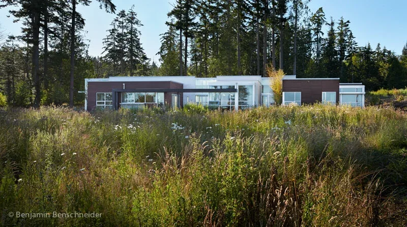 Modern single-story house with flat roofs set behind tall natural grasses and trees.