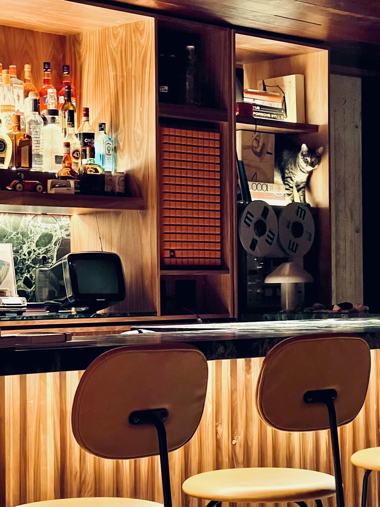 Home bar area with wood slat facade, backlit shelving holding bottles, and a cat on a shelf beside vintage equipment.