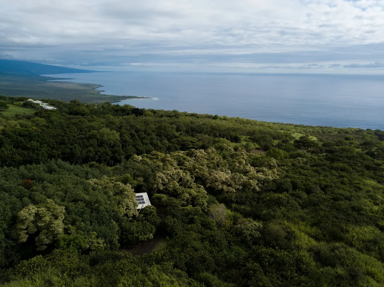 A small solar-paneled roof is barely visible amidst dense forest overlooking the ocean coastline.