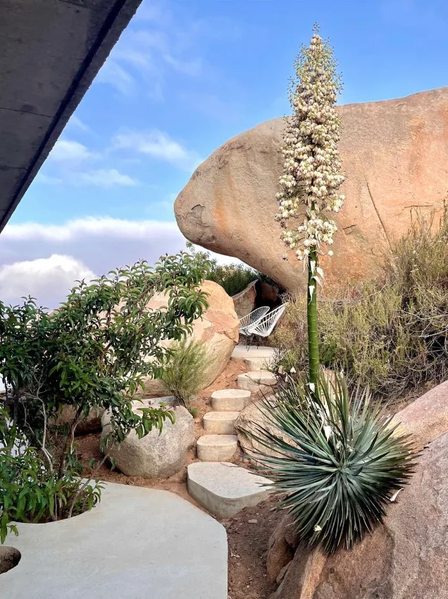Concrete steps ascending through a rocky hillside landscape with succulents and seating at the top.