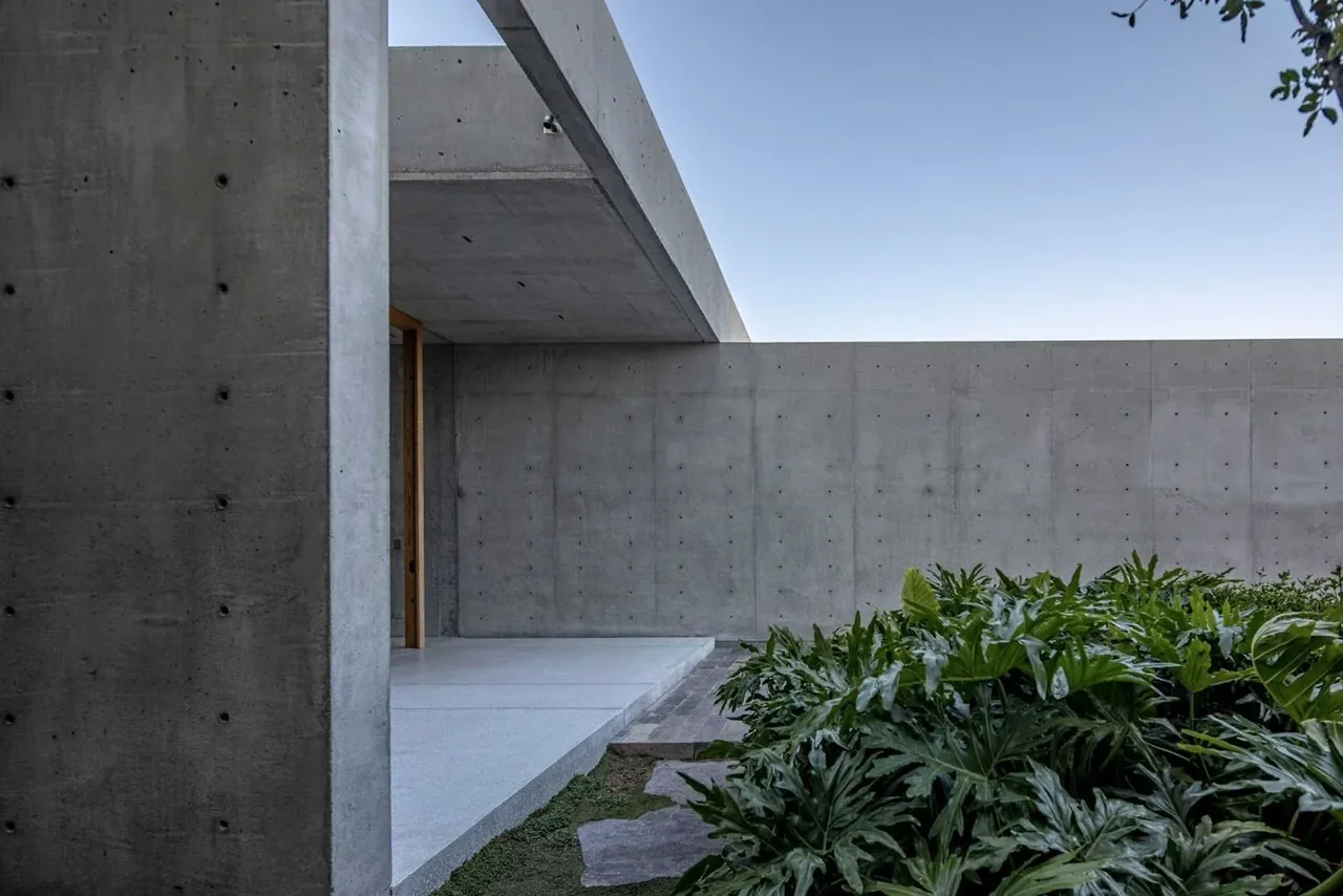 Exposed concrete exterior walls form a minimalist corner with adjacent landscaping featuring broad-leafed plants.