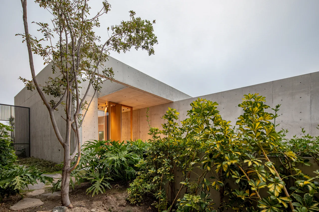 Concrete modern house with a recessed wood-paneled entry surrounded by lush greenery.